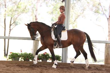 davrol, kate wilson,Danone, dressage, Australia